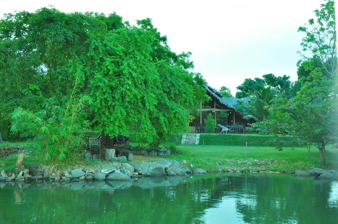 Thuduwa Camp Hotel Embilipitiya Exterior photo